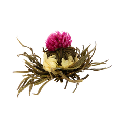 TEA TONIC | Flowering Tea Ball 2pk | Pink Princess